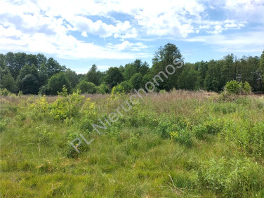 Działka Książenice