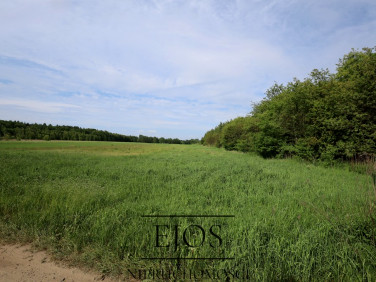 Działka rolna Glinianka