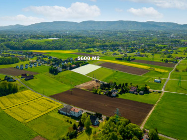 Działka budowlana Bielsko-Biała