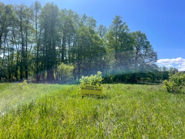 Działka budowlana Silna