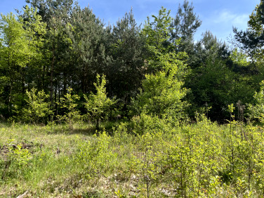 Działka budowlana Runów