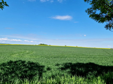 Działka rolna Lutomia Dolna