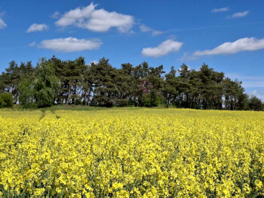 Działka budowlano-rolna Parsów