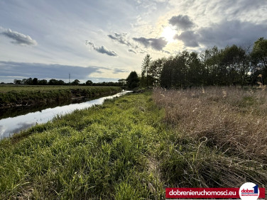 Działka budowlana Przyłęki