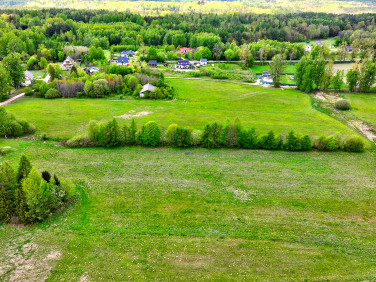 Działka przy lesie