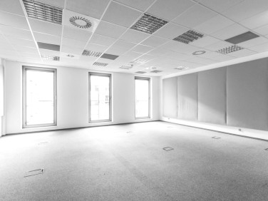 Lokal Lublin wynajem