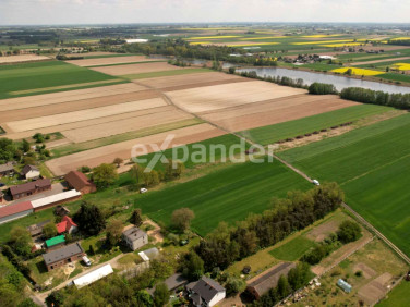 Działka siedliskowa Krowica Pusta