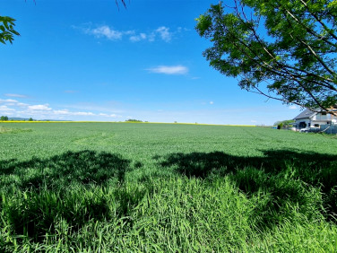 Działka budowlana Lutomia Dolna