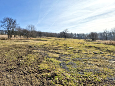 Działka budowlana Cieszyn