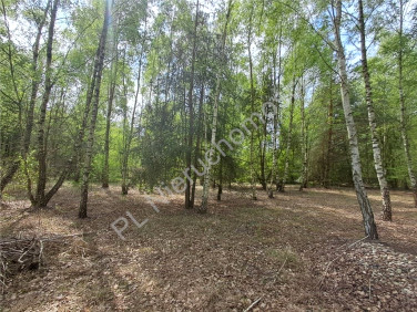 Działka budowlana Budy-Grzybek sprzedam