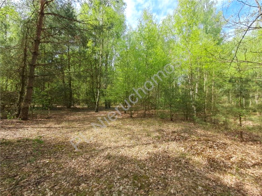 Działka budowlana Budy-Grzybek