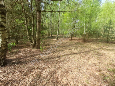 Działka Budy-Grzybek