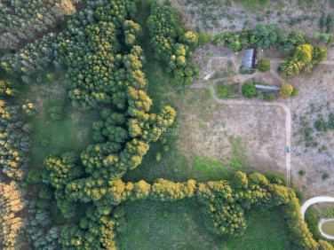 Działka siedliskowa Pąchy