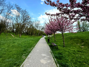 Mieszkanie apartamentowiec sprzedaż