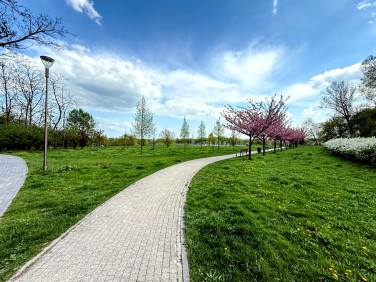 Mieszkanie apartamentowiec sprzedaż