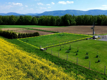 Działka Pisarzowice