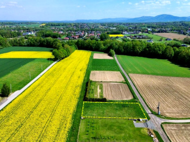 Działka Pisarzowice