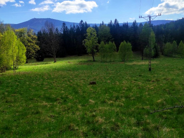 Działka inwestycyjna Szklarska Poręba