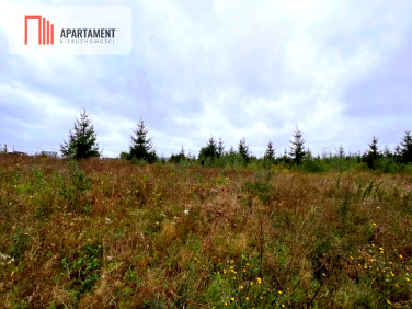 Działka budowlana Kolincz sprzedam