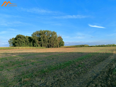 Działka siedliskowa Mieściska sprzedam