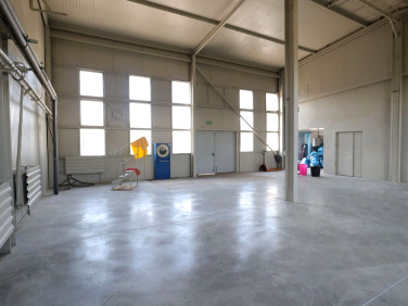 Lokal Pruszcz Gdański wynajem