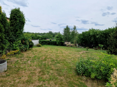 Działka budowlana Knurów sprzedam