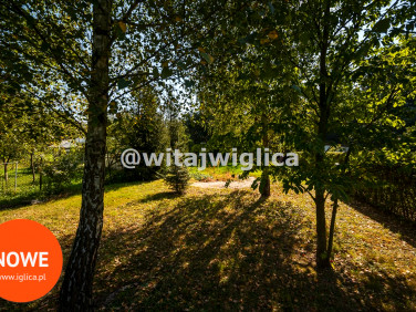 Działka inwestycyjna Pisarzowice