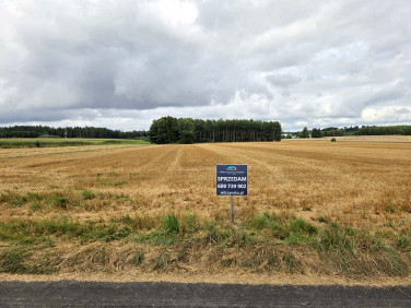 Działka budowlana Sieroczyn sprzedam