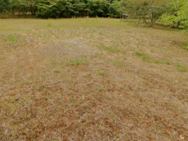 Działka przemysłowa Warszawa