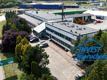 Lokal Koszalin wynajem