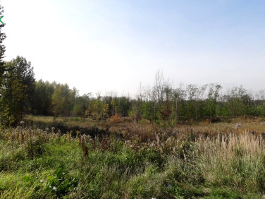 Działka Ruda Śląska