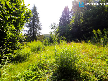 Działka budowlana Nielepice