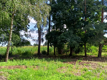 Działka budowlana Teresin