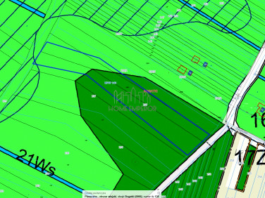 Działka leśna Bogatki