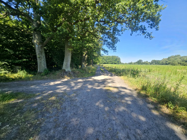 Działka budowlana Chwałowice