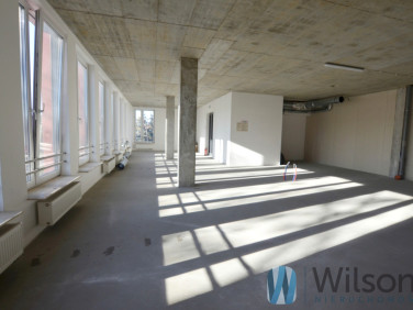 Lokal Łomianki wynajem