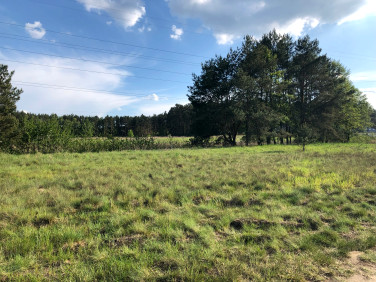 Działka budowlana Płoty