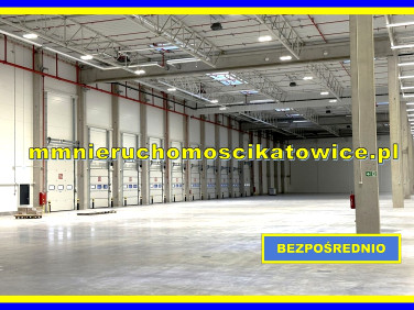 Budynek użytkowy Katowice wynajem
