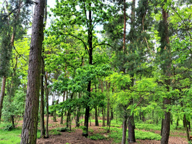 Działka budowlana Sulejówek