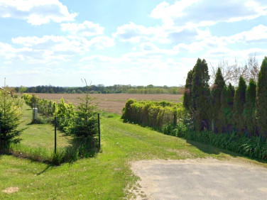 Działka rolna Szewce