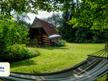 Działka rekreacyjna Pisary