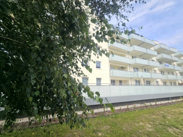 Mieszkanie Zielona Góra