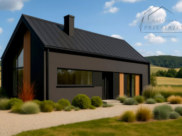 Dom wolnostojący sprzedaż