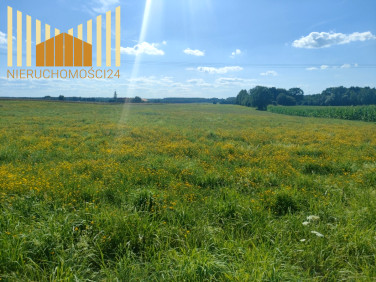 Działka rolna Augustów