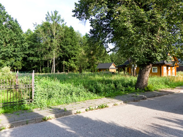 Działka Białowieża