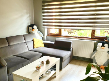 Mieszkanie Szklarska Poręba