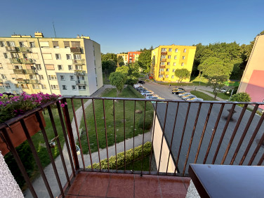 Mieszkanie Czarnków