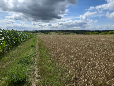Działka budowlana Mierzęcice
