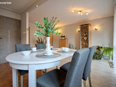 Mieszkanie Zielona Góra