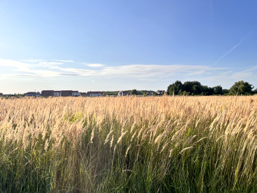 Działka budowlana Oława